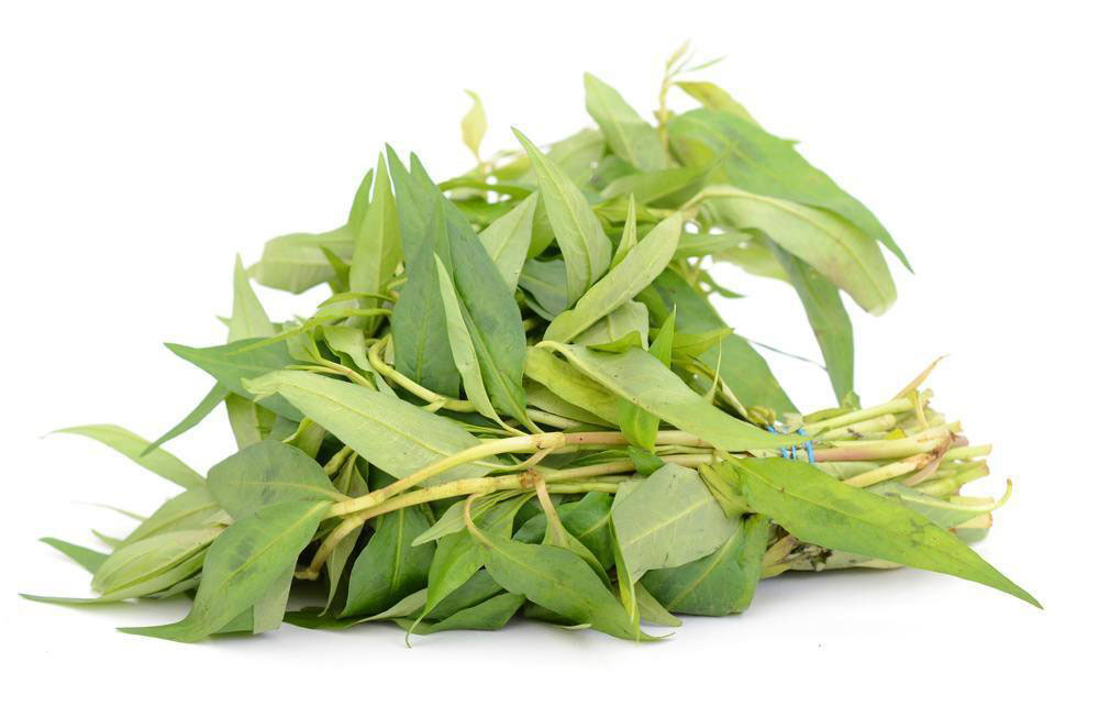 TH Pak Khaeyang/ Vietnamese coriander 100g/pkt | TH 香荚兰 100g