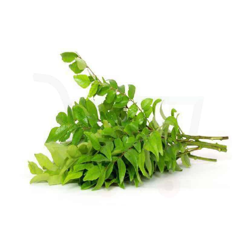 TH Young Tamarid Leaves 100g/ PKT | TH 嫩罗望子叶 100g/ pkt