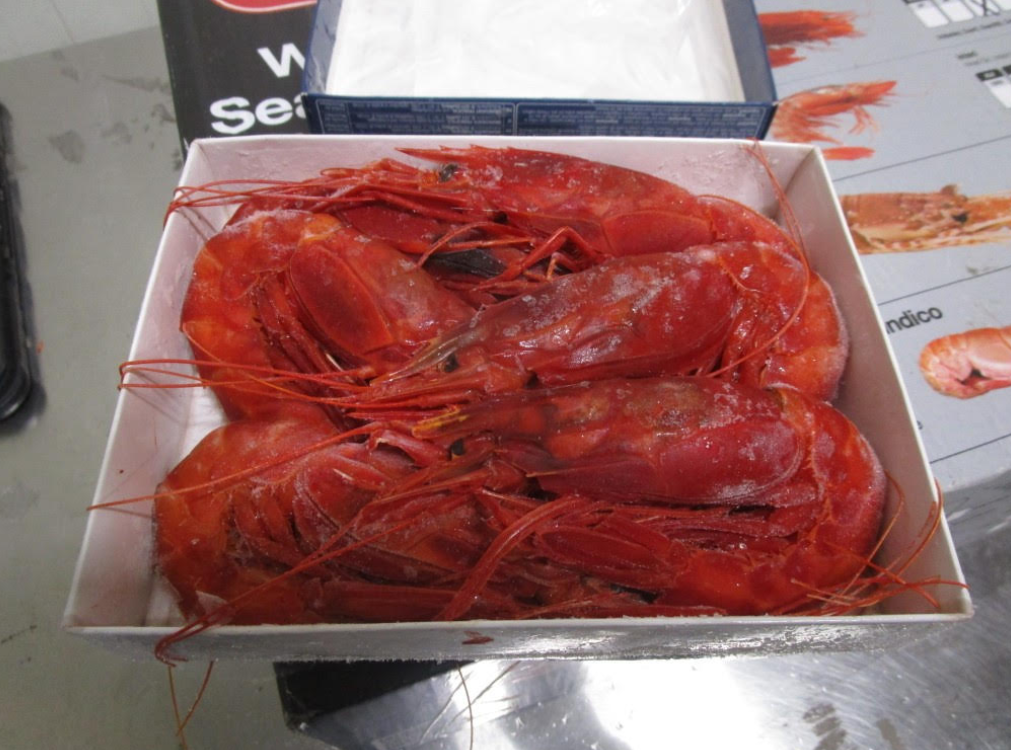 Wild Carabinero Shrimps Head on Shell on10/20 400g | 冰冻 野生 红魔虾 有头有壳 10/20 400g