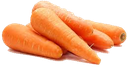 Carrot 10kg/ctn | 胡萝卜 整箱 10kg