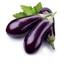 Eggplant Purple 5kg/ctn | 整箱 茄子 5kg/ctn