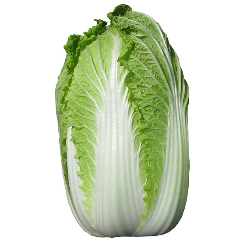 Fresh Chinese Cabbage 1kg | 新鲜 中国大白菜 1kg