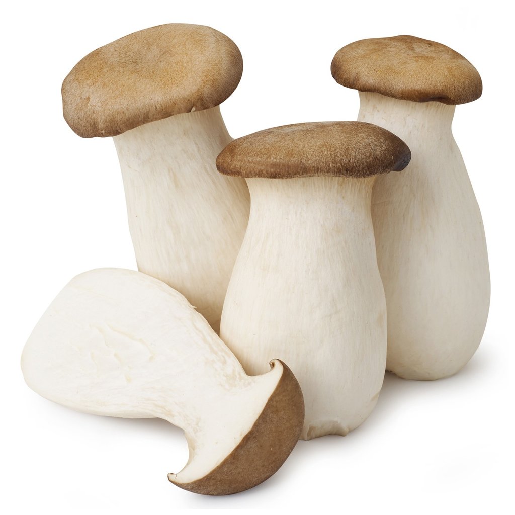 Fresh King Oyster Mushroom 1kg | 新鲜 杏鲍菇 1kg