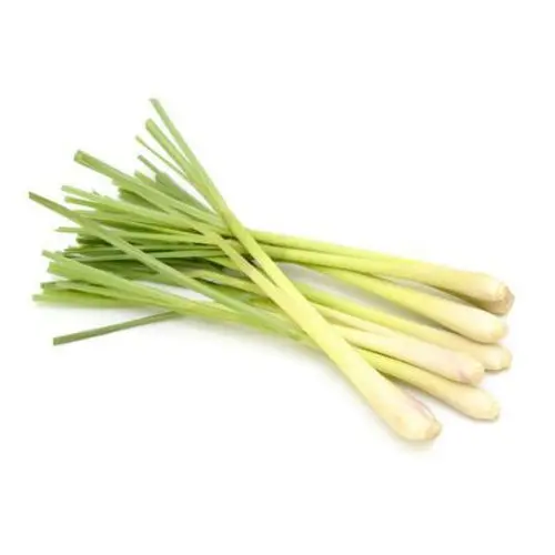 Tuore Sitruunaruoho (Kokonainen) 1 kg