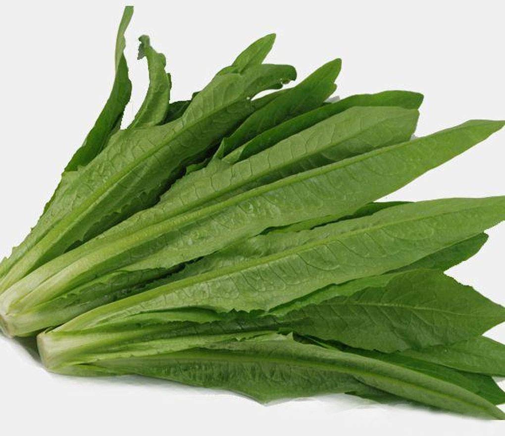 Fresh Makchoi 1kg | 新鲜 油麦菜 1kg