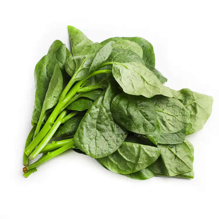 新鲜 木耳菜 1kg | Fresh Sanchoi 1kg