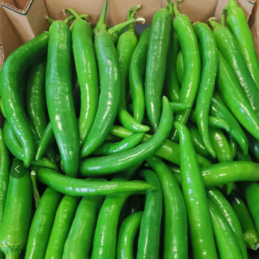Tuore Vihreä Chili 1 kg