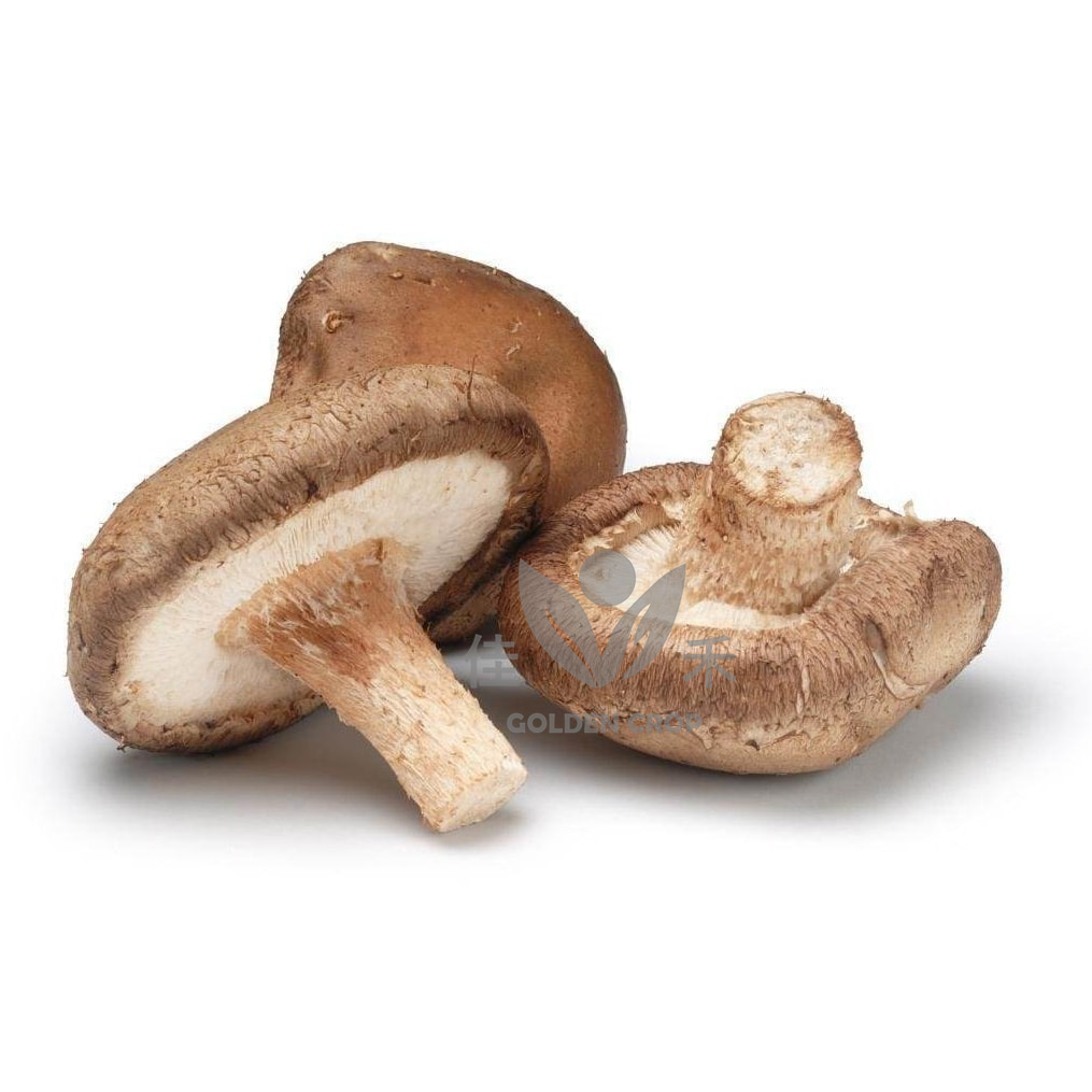 新鲜 香菇 200g | Fresh Shiitake 200g
