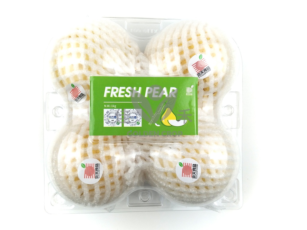 Golden Pear 4pc | 鸭梨 四只装