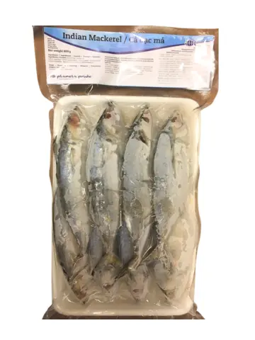 Intialainen makrilli 800g | PLANETS PRIDE 印度鲭鱼 800g 