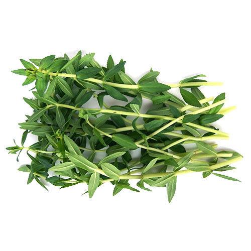 Fresh Thailand Finger Grass 100g/PKT | 新鲜 手指草 100g/包
