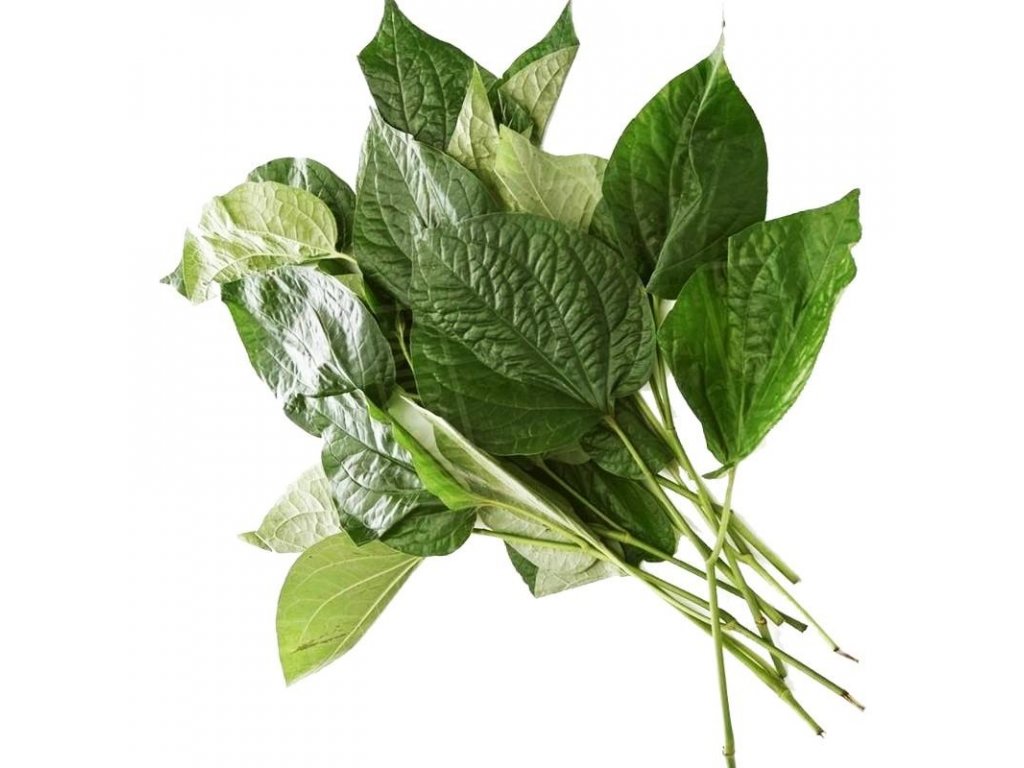 Tuore Thaimaasta Villibetelinlehti 100g/PKT