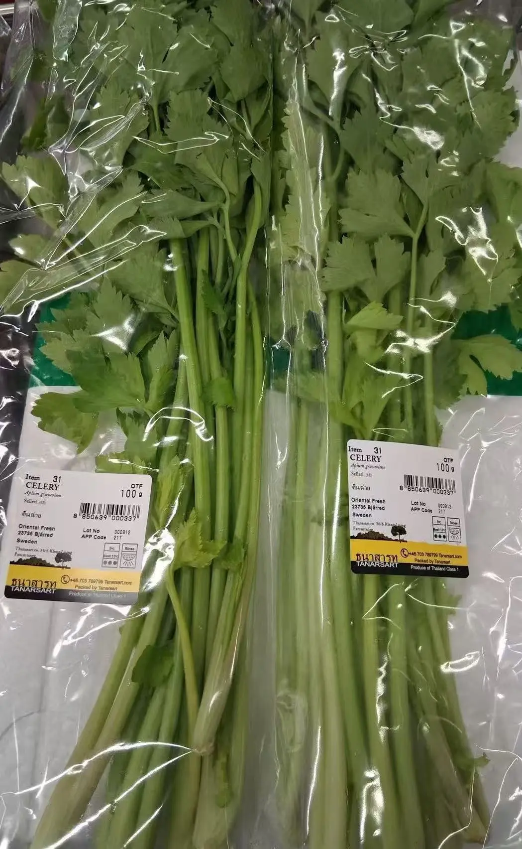新鲜 泰国 芹菜 100g/包 | Fresh Thailand Celery 100g/PKT