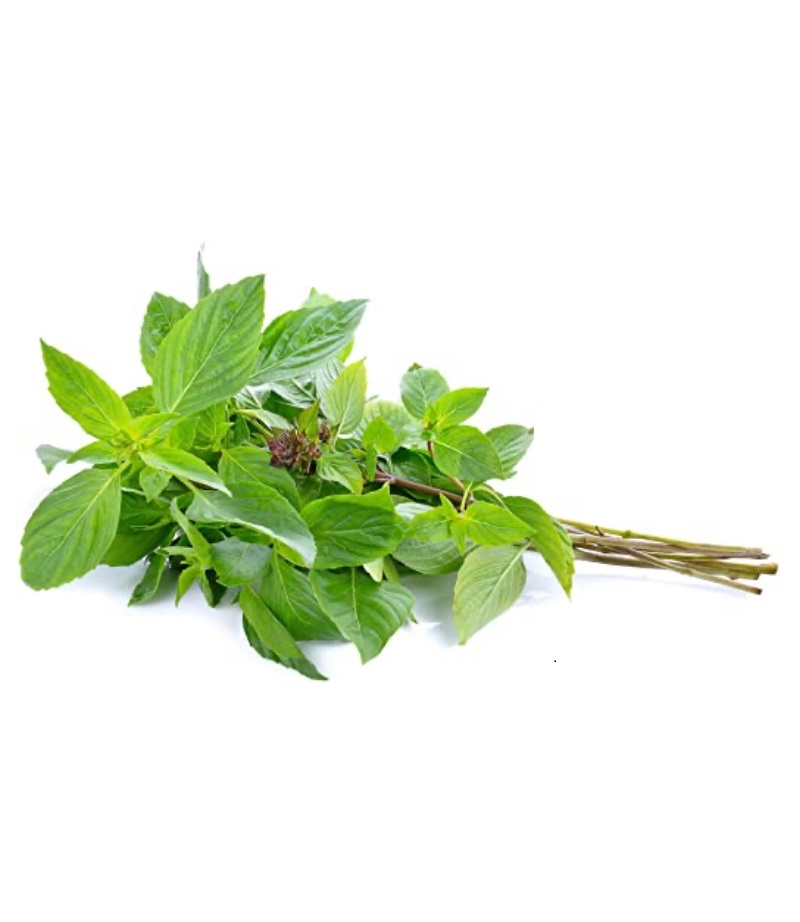 新鲜 泰国 甜罗勒 100g/包 | Fresh Thailand Sweet Basil 100g/PKT