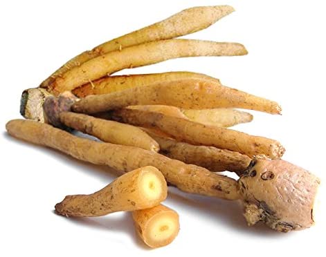 Tuore Thaimaasta Kaempferia 100g/PKT