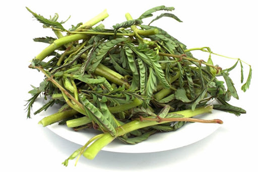 Tuore Thaimaasta Vesimimosa 200g/PKT