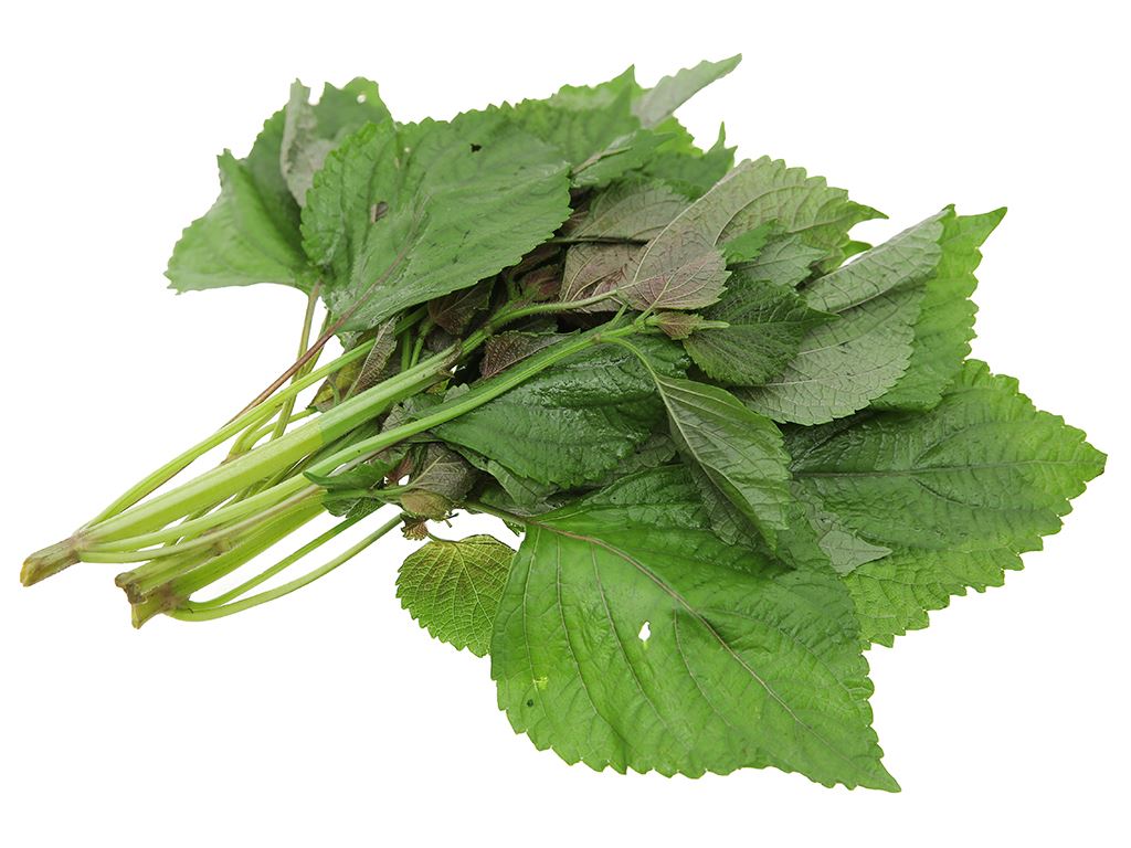 Fresh Thailand Perilla 100g/PKT | 新鲜 泰国 紫苏 100g/包
