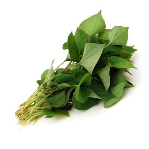 Tuore Thaimaasta Kalaminttu 100g/PKT | 新鲜 泰国 鱼腥草 100g/包