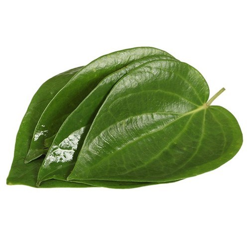 Tuore Thaimaasta Betel Lehti 100g/PKT