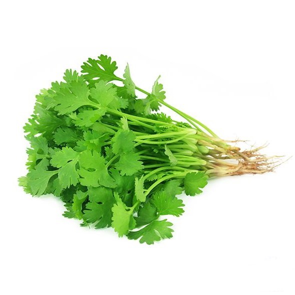 Fresh Coriander 1kg | 新鲜 香菜 1kg