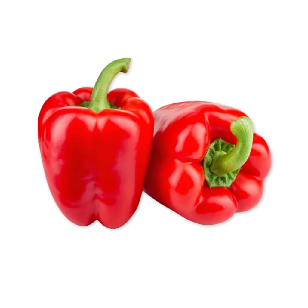 Fresh Red Capsicum 5kg/CTN | 新鲜 红椒(灯笼椒) 整箱 5kg