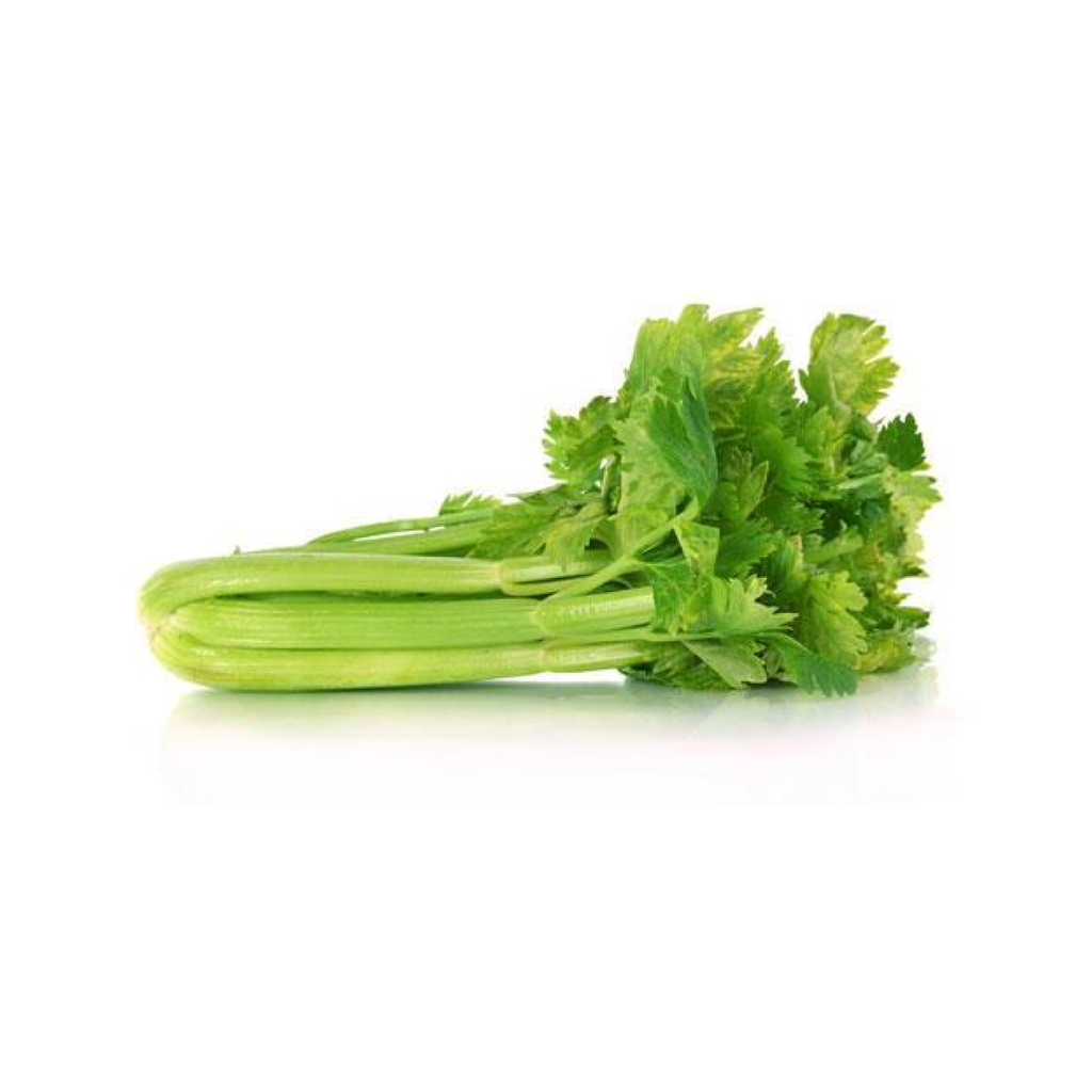 Tuore selleri 8kg / laatikko