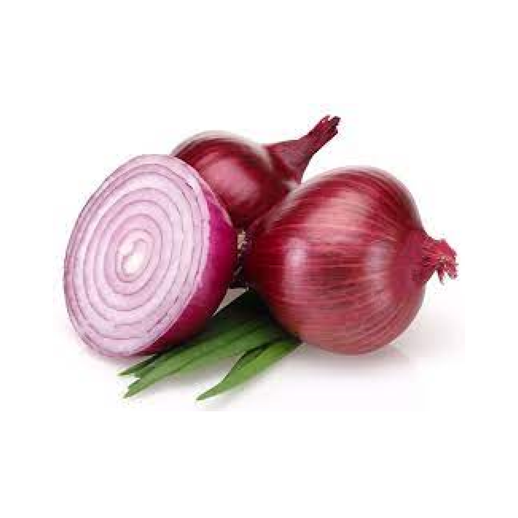 新鲜 红洋葱 整包 10kg | Fresh Red Onion 10kg/Bag