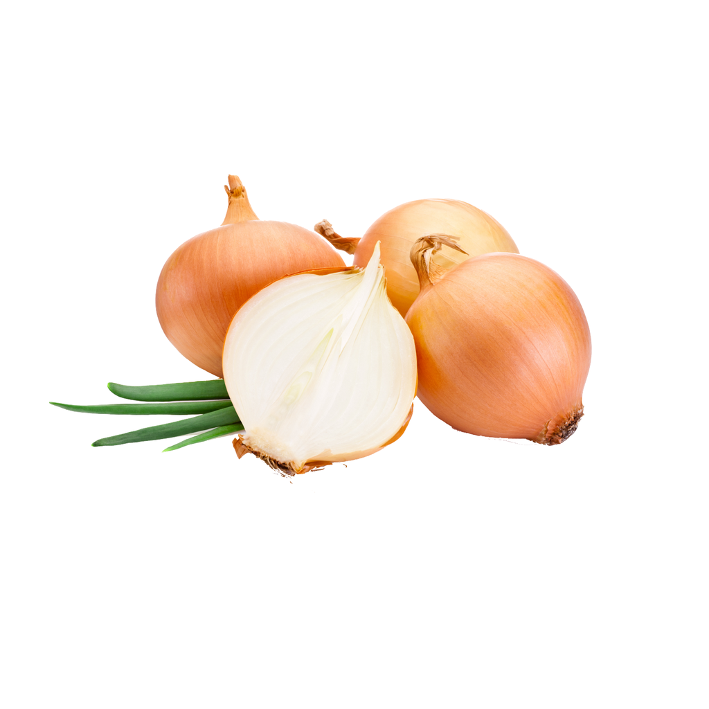 新鲜 白洋葱 整包 10kg | Fresh Yellow Onion 10kg/Bag