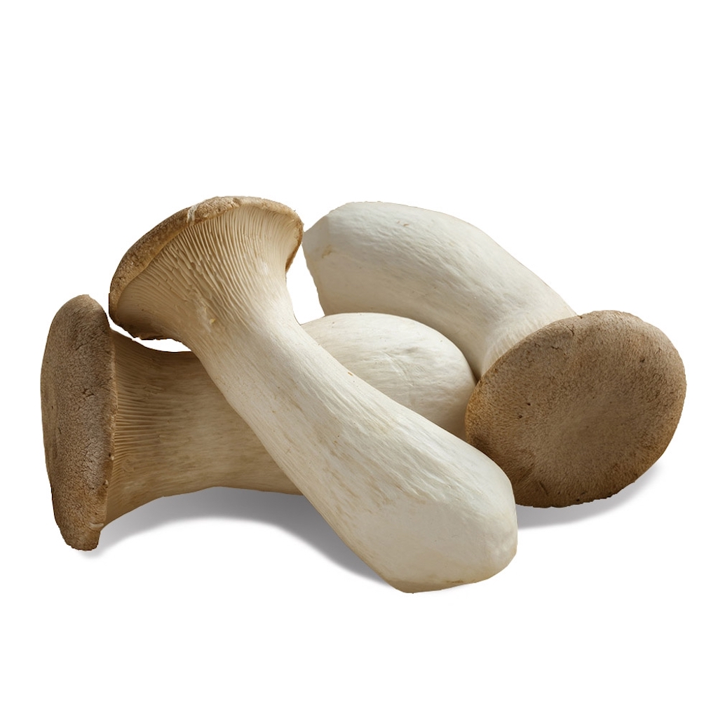 Tuore Kuningas Osterisieni 200g/PKT