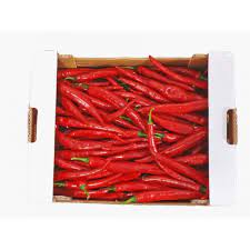 Punainen shishito-chili 3kg/ltk