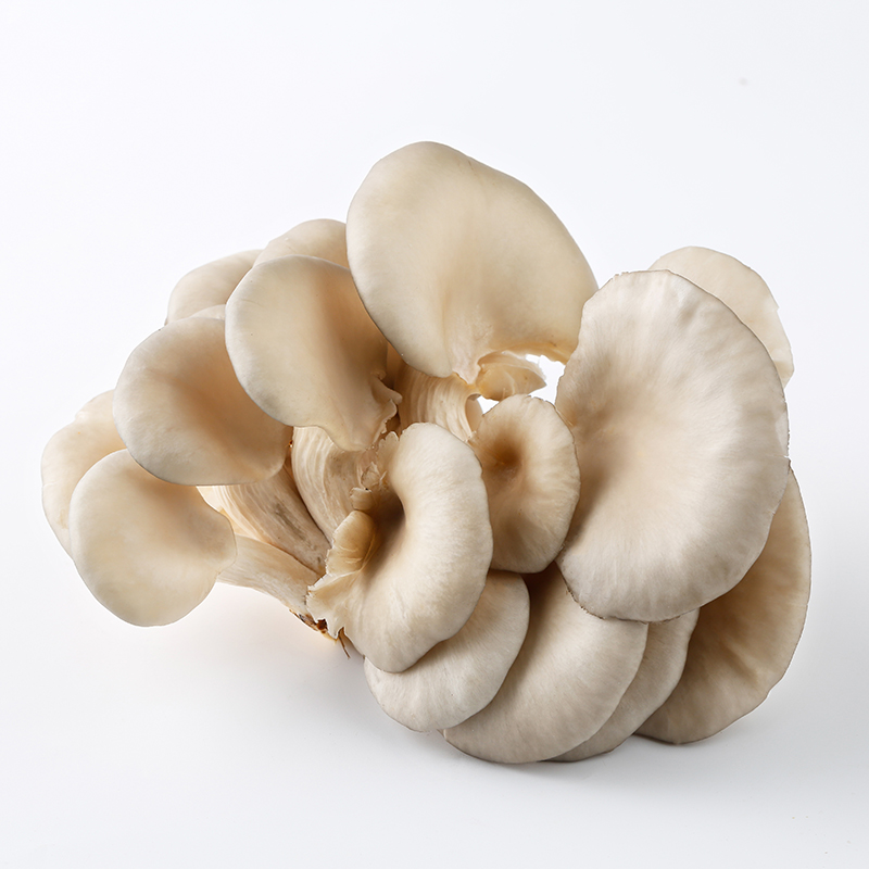 Tuore Osterisieni 200g/PKT