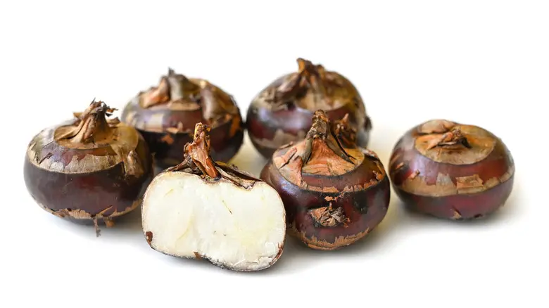 Tuoreet vesikastanjat 500g