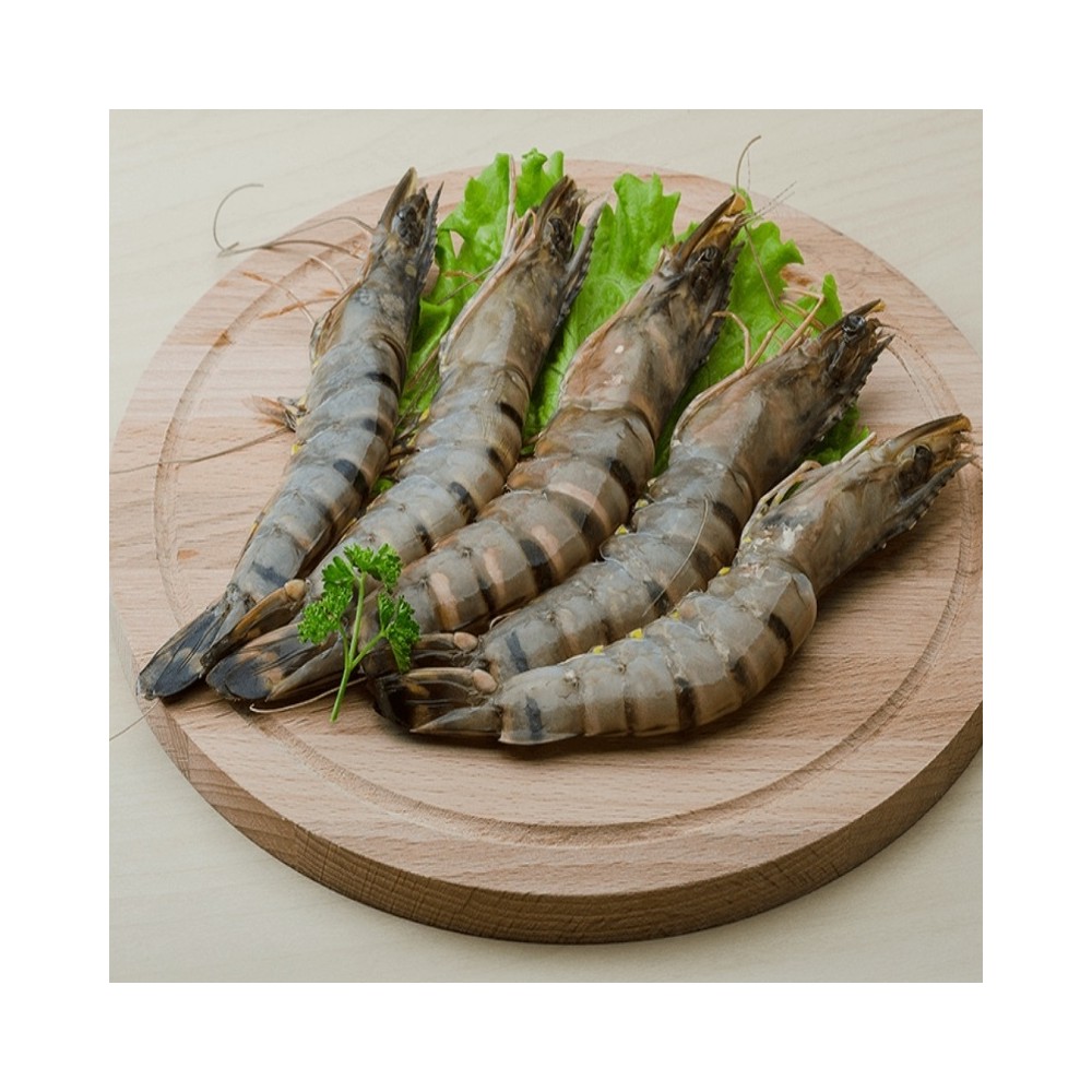 Fisherman's Choice Musta tiikerikatkarapu HOSO 8/12 1 kg netto 800 g