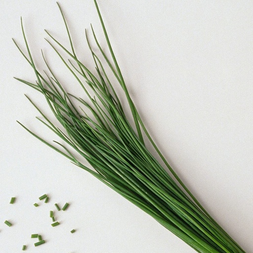 新鲜 寿司细葱 100g/包 | Fresh French Chives 100g/PKT