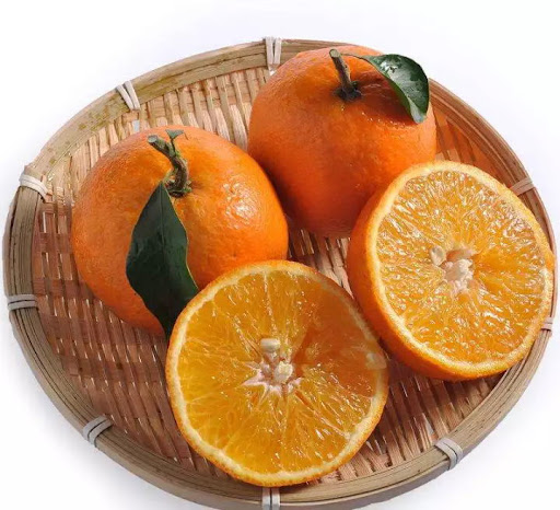红美人 橙子 2kg/ CTN