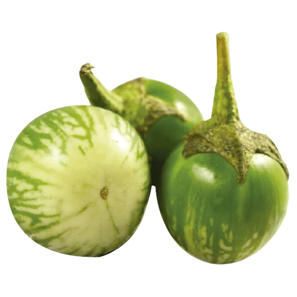 Fresh Thailand Round Eggplant 200g/PKT | 新鲜 泰国 果茄 200g/包
