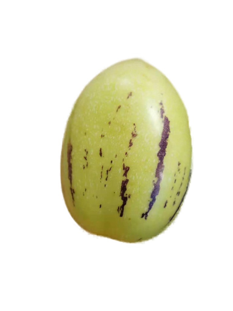 新鲜 人参果 1kg | Fresh Pepino Melon 1kg