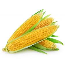 新鲜 芬兰 甜玉米 1kg | Fresh Finland Sweet Corn 1kg