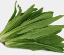Fresh Mak Choi 1kg | 新鲜 油麦菜 1kg