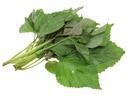 Fresh Thailand Perilla 100g/PKT | 新鲜 泰国 紫苏 100g/包