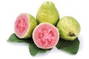 Fresh Guava Pink 1kg | 新鲜 红心番石榴 1kg