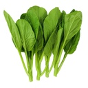 Fresh EA Short Choisam 1kg | 新鲜 EA 短菜心 1kg